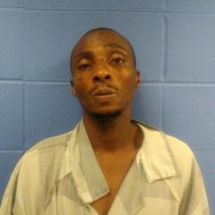 Mugshot of ROBERSON, LEON JR